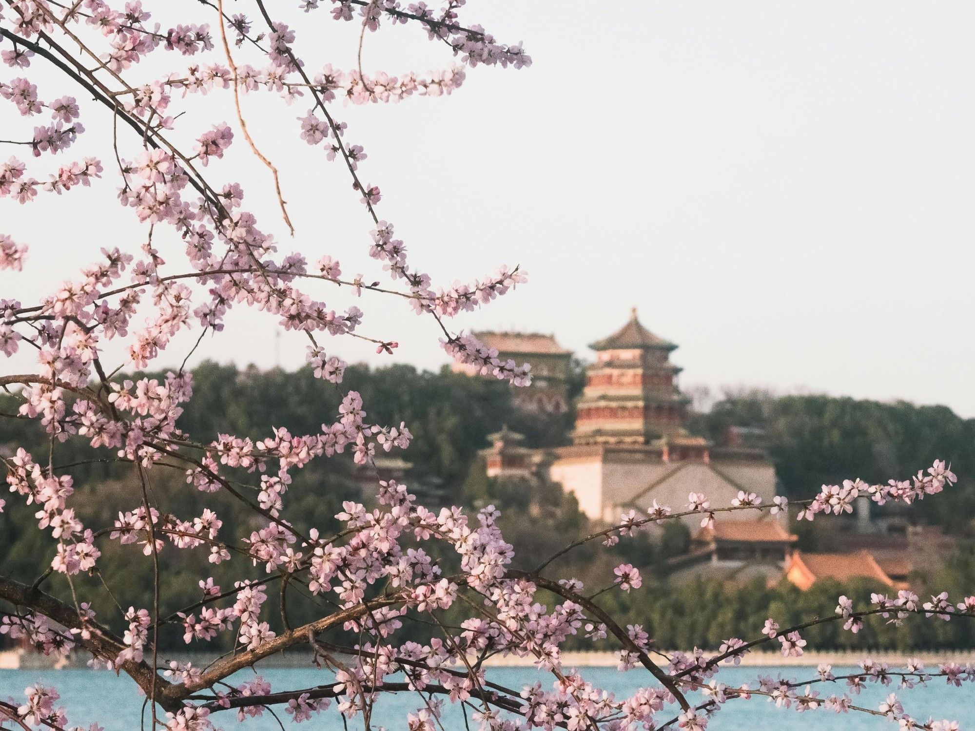 Spring | Grand Park Kunming