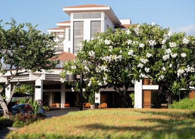 Front view of the Maui Coast Hotel entrance, adorned with lush flowering trees and tropical landscaping