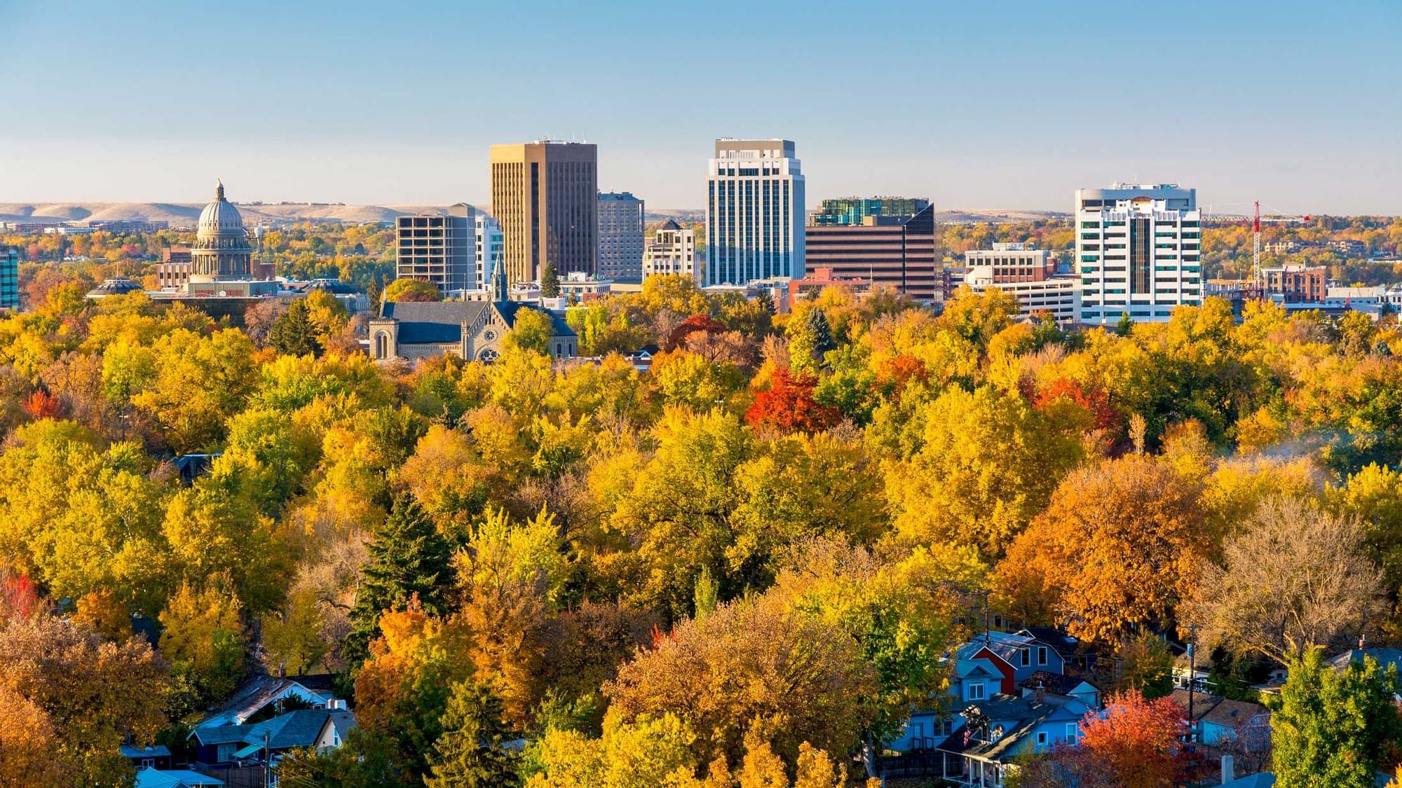 Colorful trees on the outskirts of a city near Grove Hotel