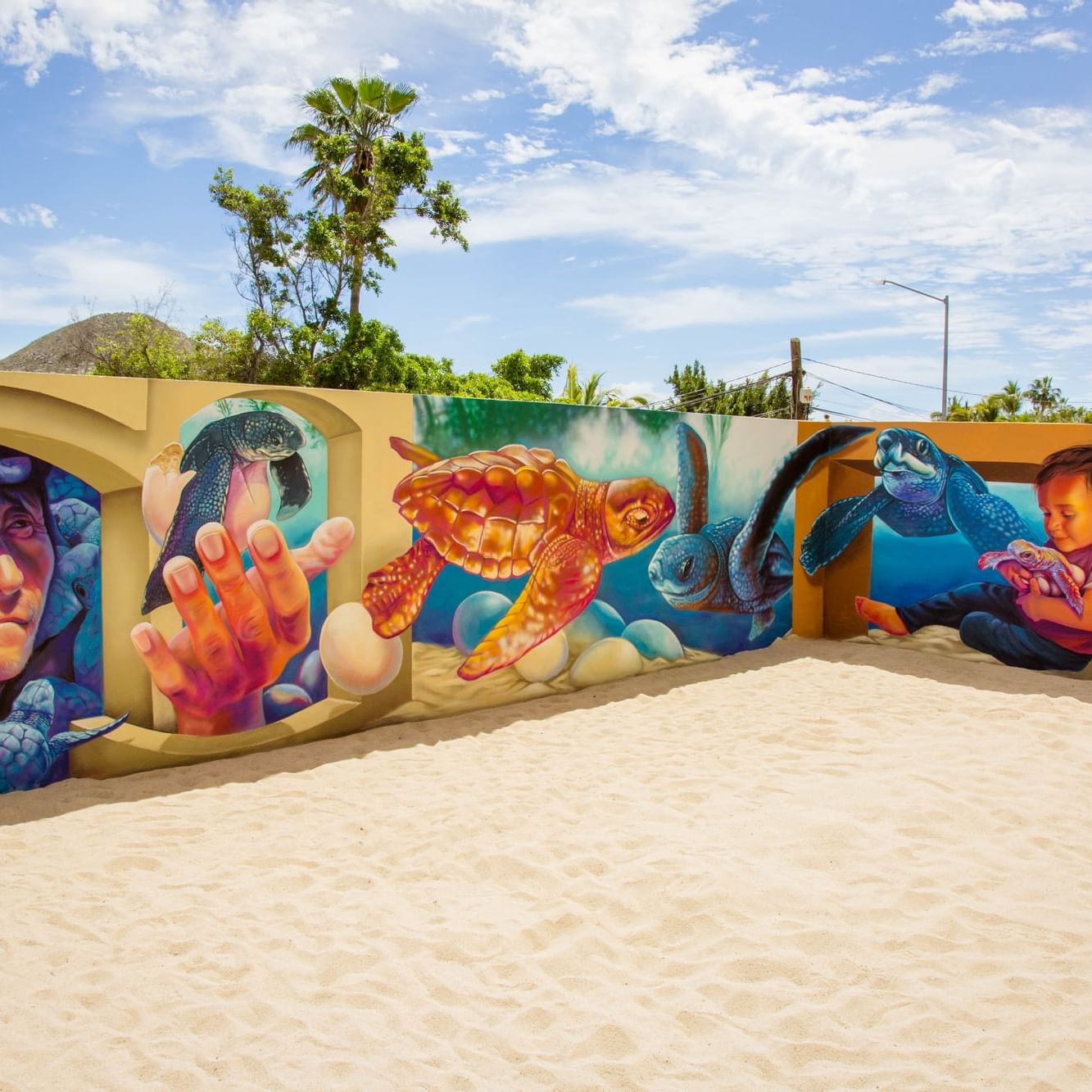 3D art mural in Cabo located near Cabo Dorada Los Cabos