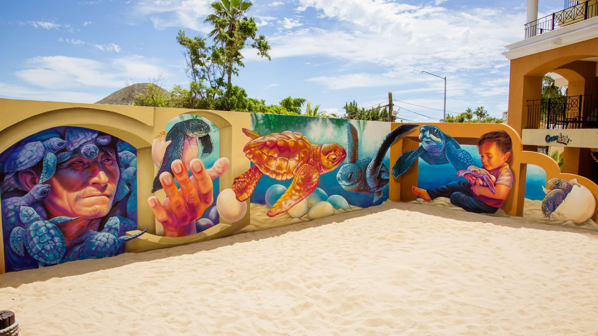 3D art mural in Cabo located near Cabo Dorada Los Cabos