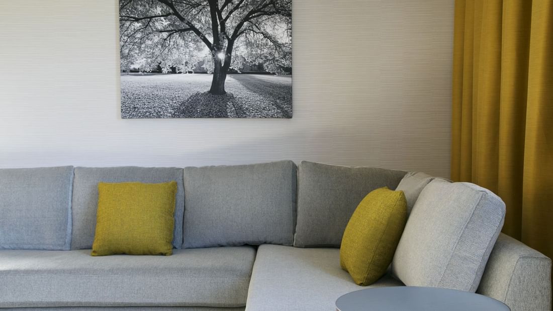 Couch and black and white photo of tree
