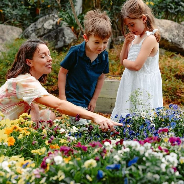 Veggie Garden Sustainability 