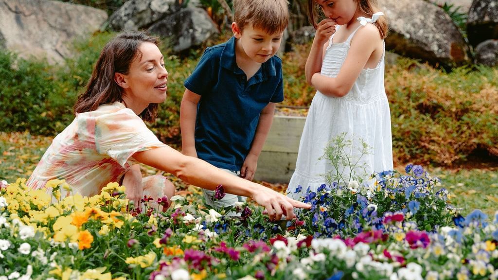 Veggie Garden Sustainability 