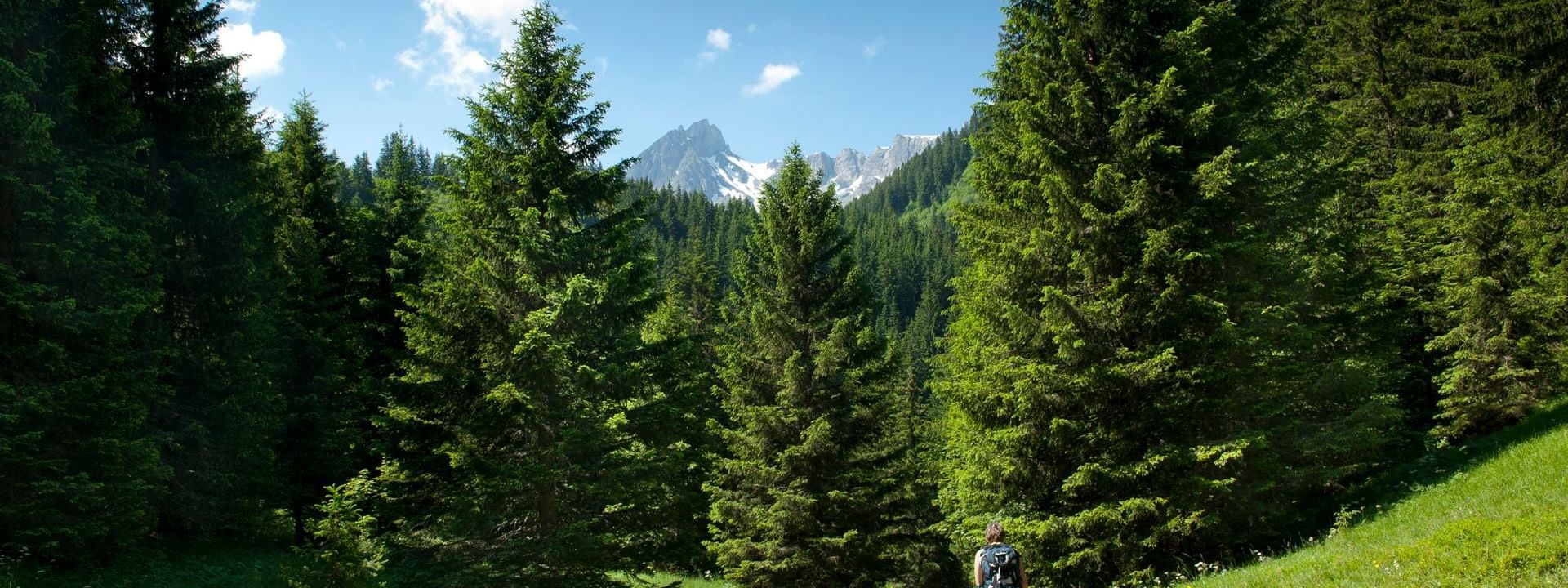 Nature near Chalet Hôtel La Chemenaz in Les Contamines-Montjoie