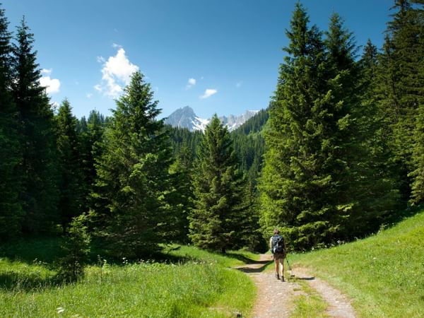 Nature near Chalet Hôtel La Chemenaz in Les Contamines-Montjoie