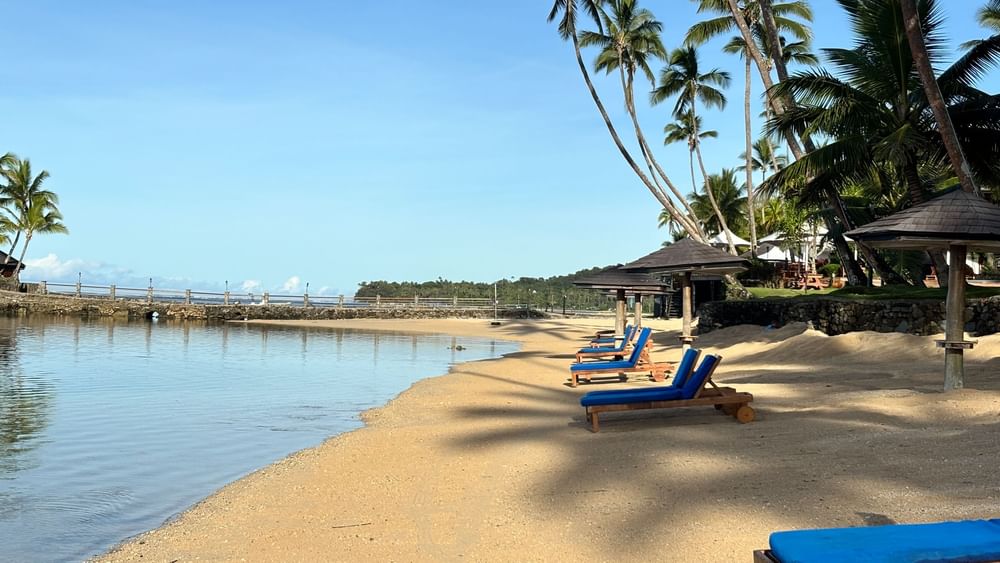 Sandy beach with loungers and coconut trees at Warwick Fiji Resort and Spa in Korolevu.