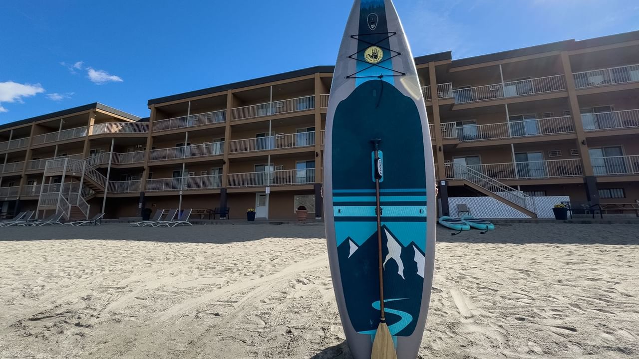 paddle board on beach