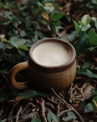 Una taza de café caliente sobre hojas del bosque en Morgan's Rock, una acogedora experiencia en un albergue ecológico de Nicaragua.