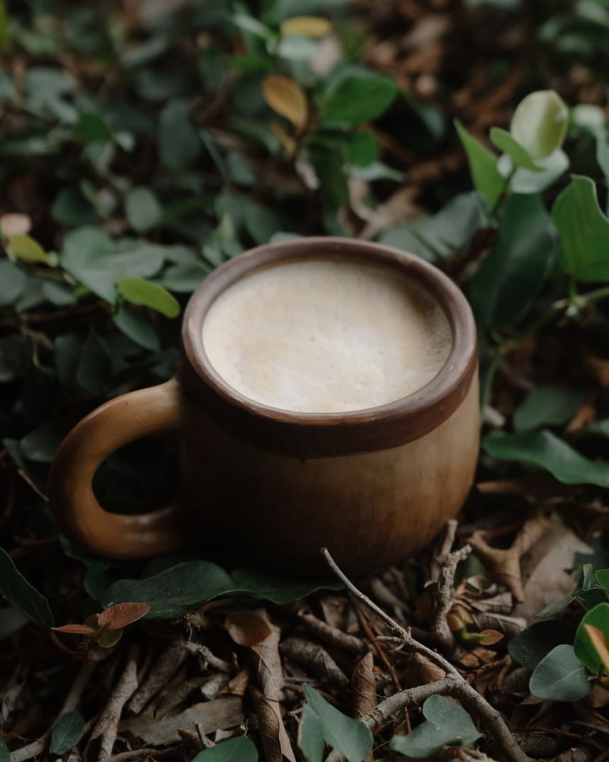 Una taza de café caliente sobre hojas del bosque en Morgan's Rock, una acogedora experiencia en un albergue ecológico de Nicaragua.