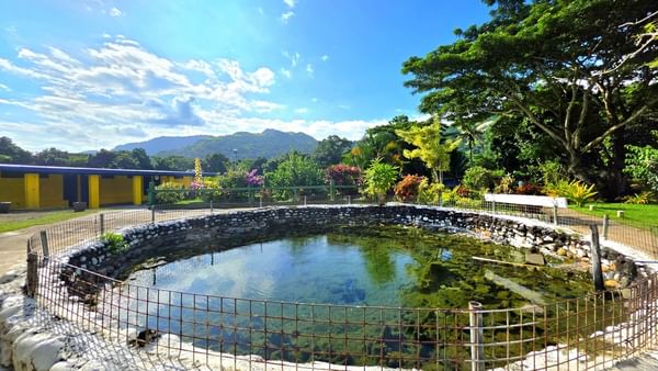 Sabeto Mud Pool with Circular stone-walled pool filled near TokaToka Resort Nadi Fiji