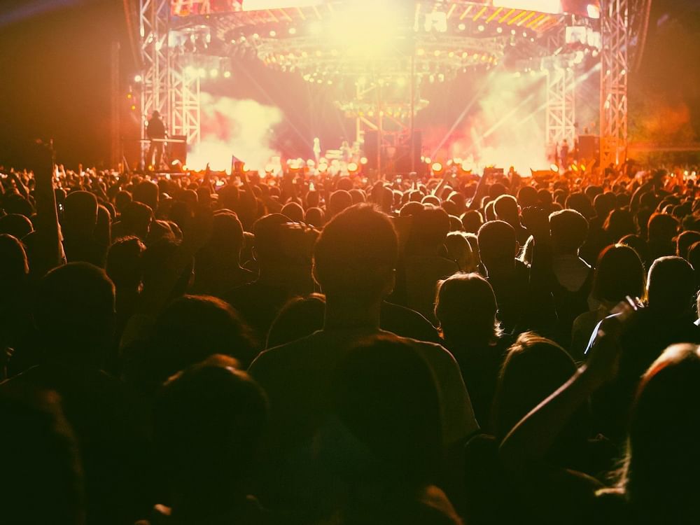 Live music concert in Sports Palace Dome near La Colección