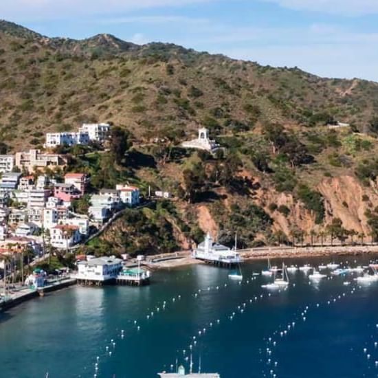 Aerial view of a coastal bay with boats and buildings near Catalina Island Company