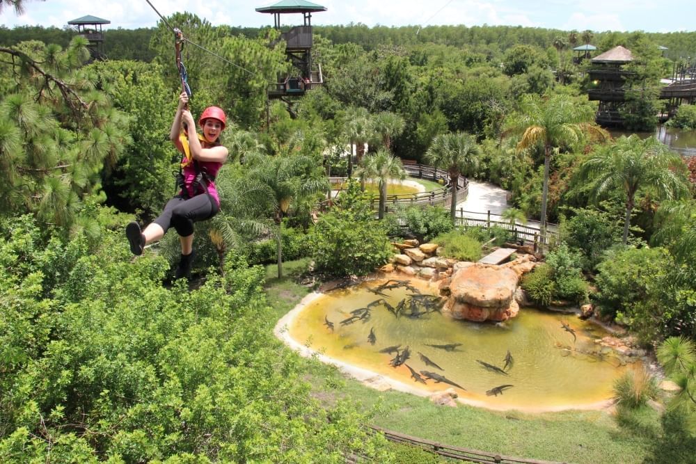 A woman in a helmet smiles as she ziplines through treetops with a large swamp full of alligators below.