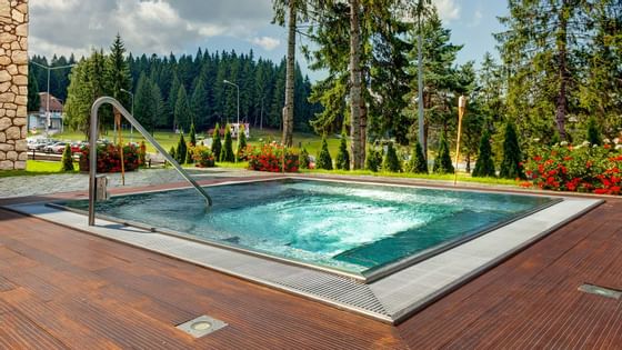 Hotel pool with the garden view at Ana Hotels