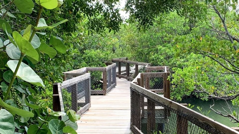 Bridge of Clam Bayou Nature Park near Legacy Vacation Resorts