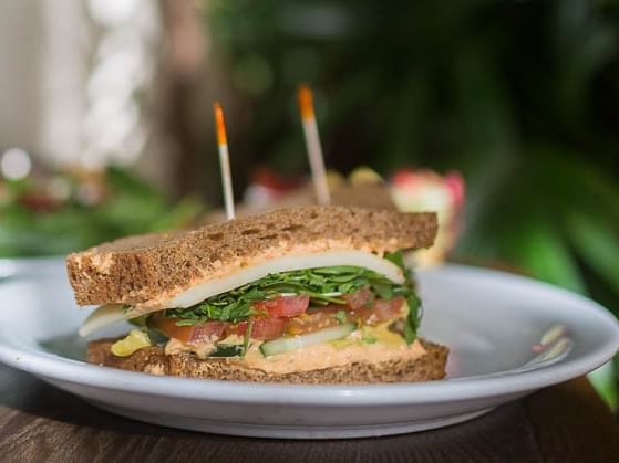 Sandwich with tomato, cucumber, and greens on a white plate at Pickwick San Francisco.