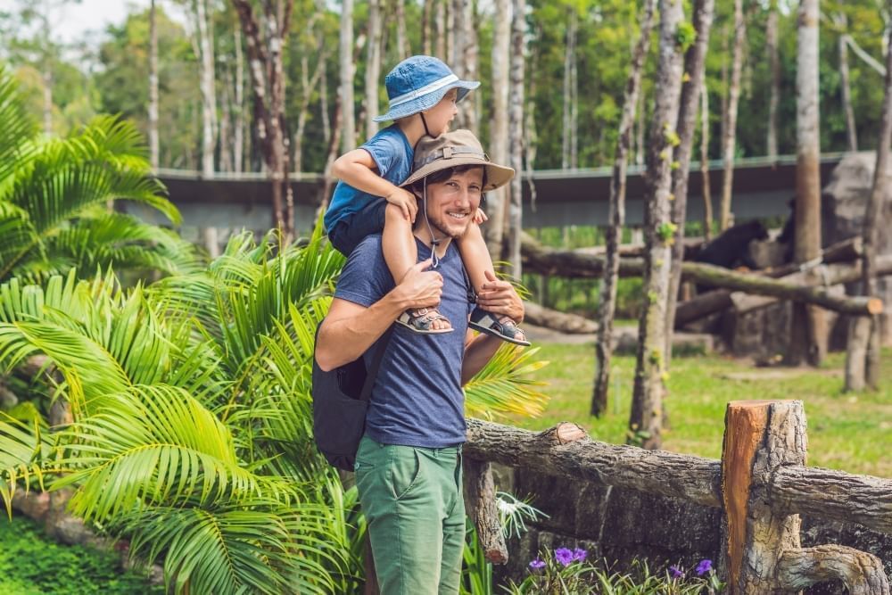 A dad in a safari hat carries a young boy in a blue hat on his shoulders as they overlook an outdoor habitat at the zoo.