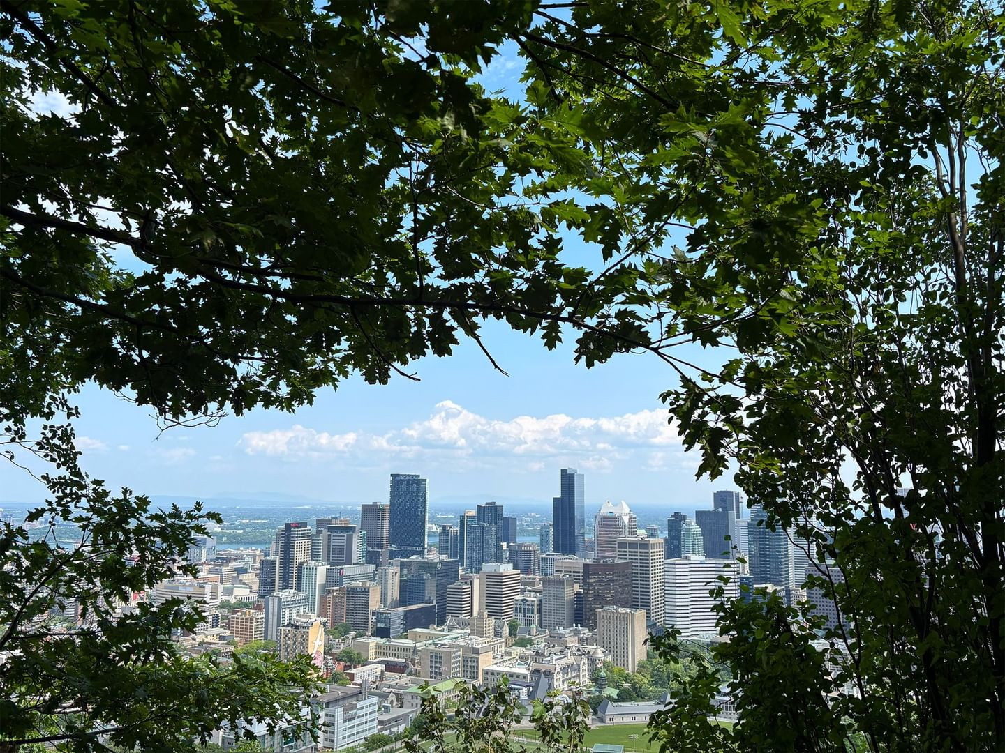 Vue de la ville de Montréal depuis un point de vue élevé à travers des arbres chez Warwick Le Crystal