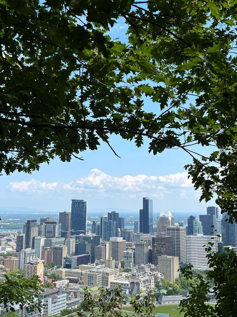 Stunning Montreal city skyline view framed by green leafy trees at Warwick Le Crystal Montreal