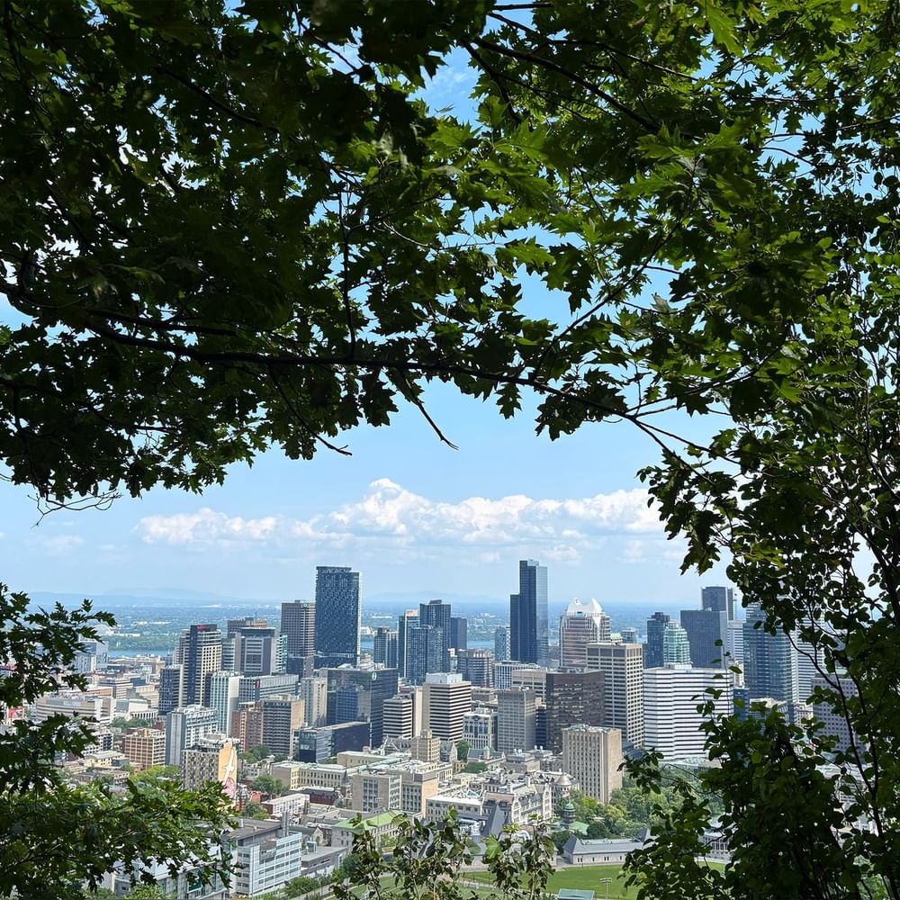 Montreal skyline viewed from above through tree branches at Warwick Le Crystal – Montreal.