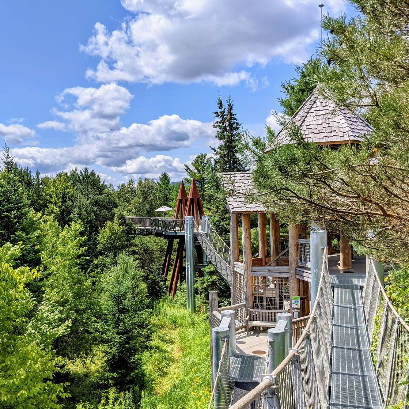 Elevated walkway with metal railings leading to a wooden structure in a forested area.