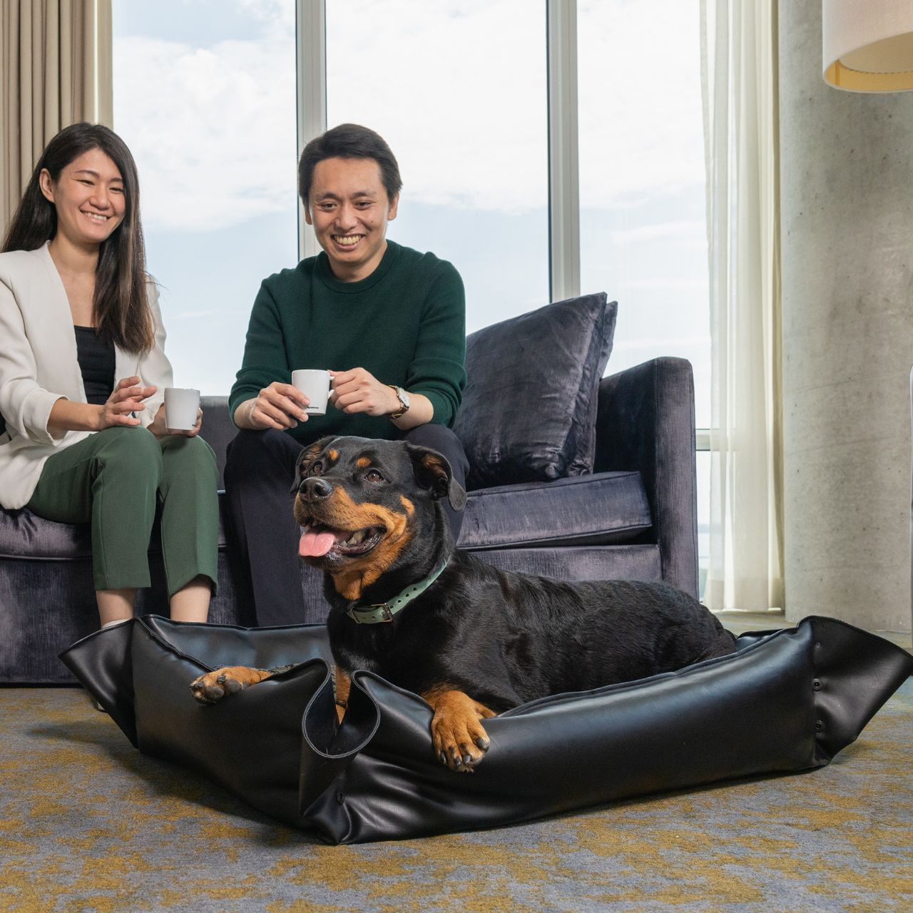 Couple sitting on sofa holding cups while Rottweiler rests in black dog bed on carpet floor at Hotel X Toronto