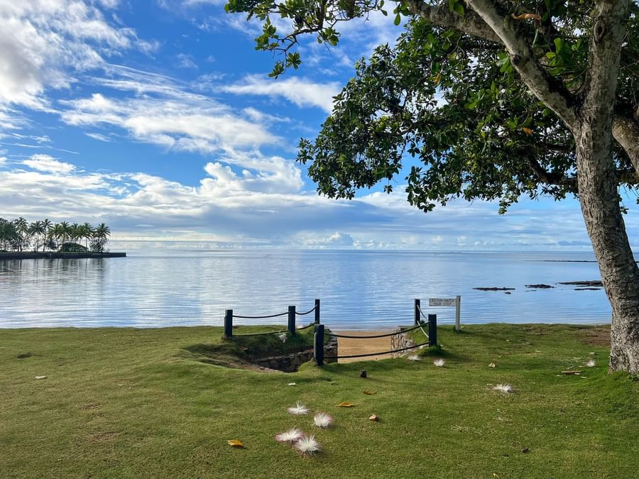 Serene beach view with ocean and lush greenery at The Naviti Resort in Korolevu