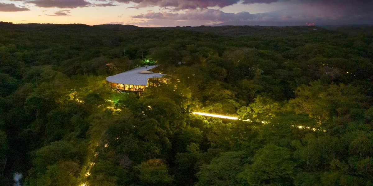 Aerial view of the trees & hotel at night in Hotel Rio Perdido