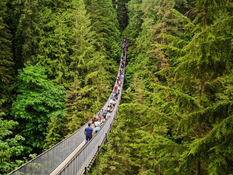 Capilano Suspension Bridge 