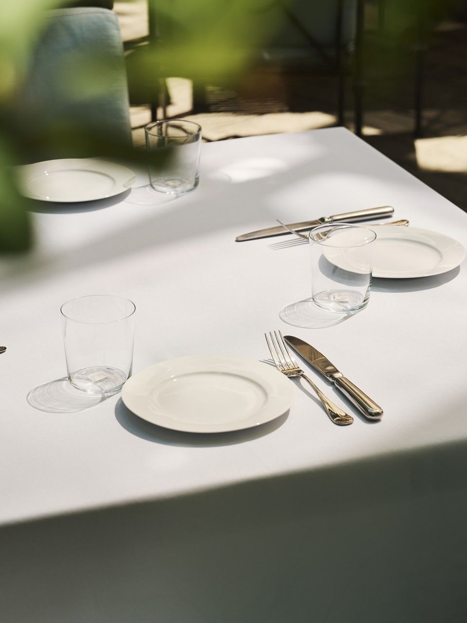 Outdoor Garden & Terrace