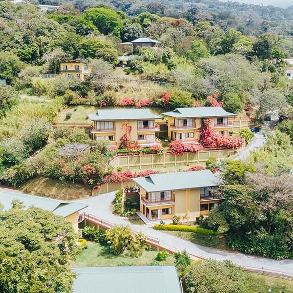 Aerial view of the exterior of Ficus Lodge