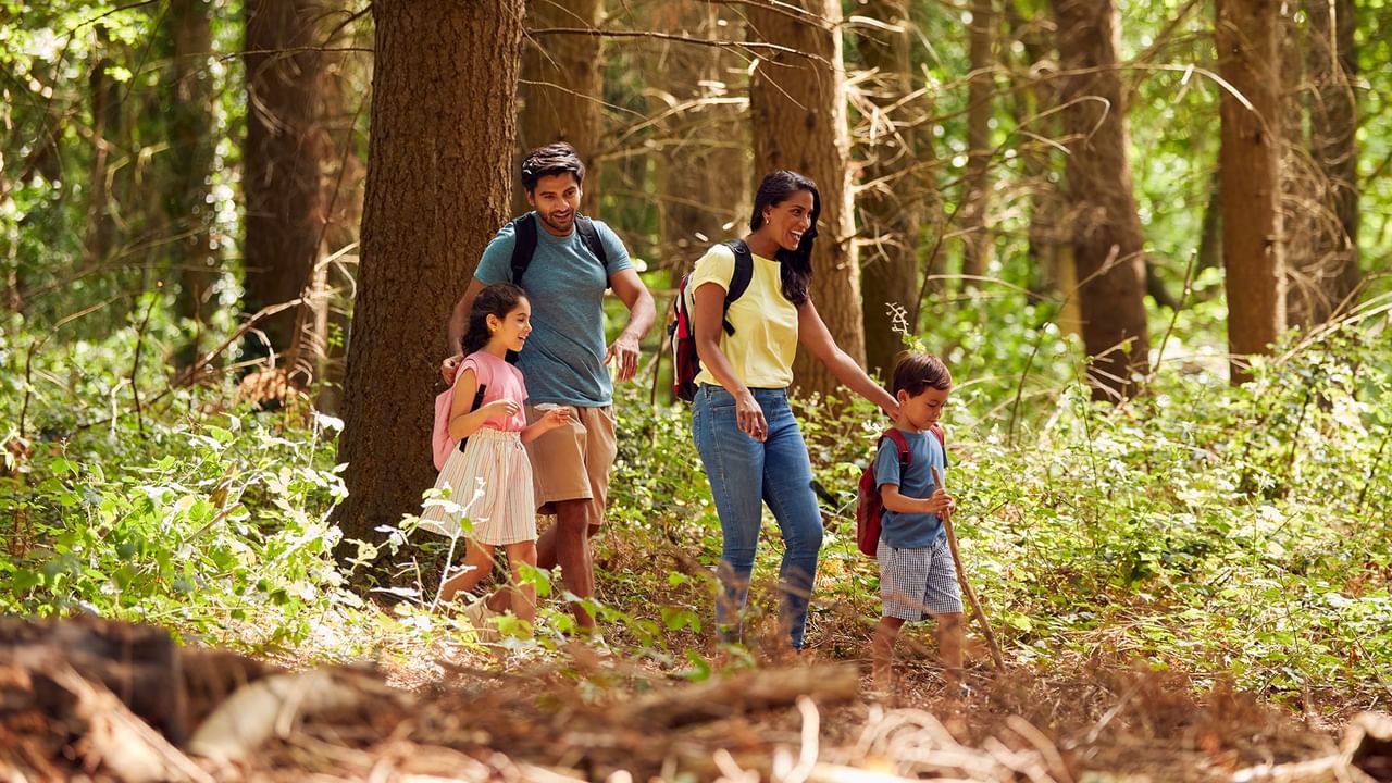 Family of four hiking through a forest