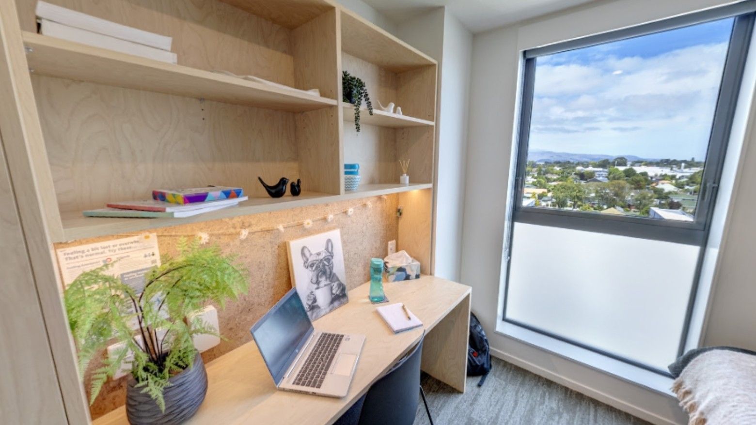 Light-filled workspace with plywood desk, laptop, shelving, and large window overlooking suburban neighborhood at Tupuārangi