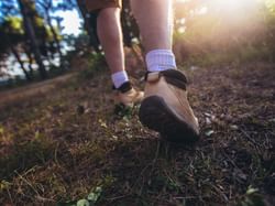 Man walking with shoes into the forest near Hoteles Australis