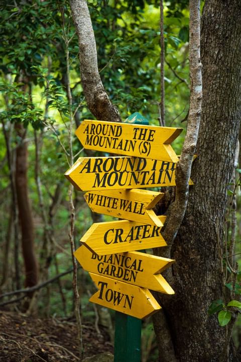 Forest wooden sign boards near Golden Rock Resort