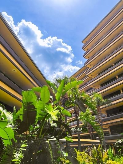 The corners of two buildings in front of a blue sky, with tropical palms and foliage in the foreground.