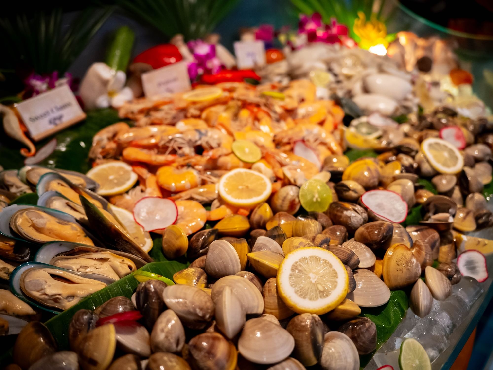 Fresh seafood on ice display featuring prawns, mussels, clams, and squid with lemon slices and tropical garnishes at Paradox Phuket’s New Year’s Eve international buffet.
