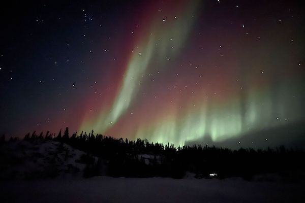 Forest At Night With Northern Lights In Background
