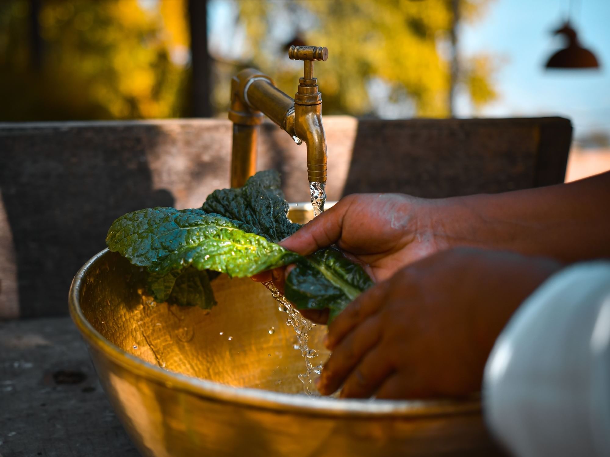 Washing fresh greens in a golden bowl under a brass tap in a sunlit outdoor space near Dwarika's Himalayan Wellbeing