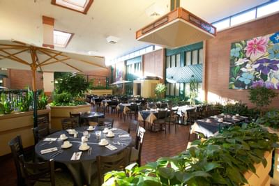 Atrium dining tables under skylights, surrounded by plants, in Garden Court Restaurant at Glenmore Inn & Convention Centre