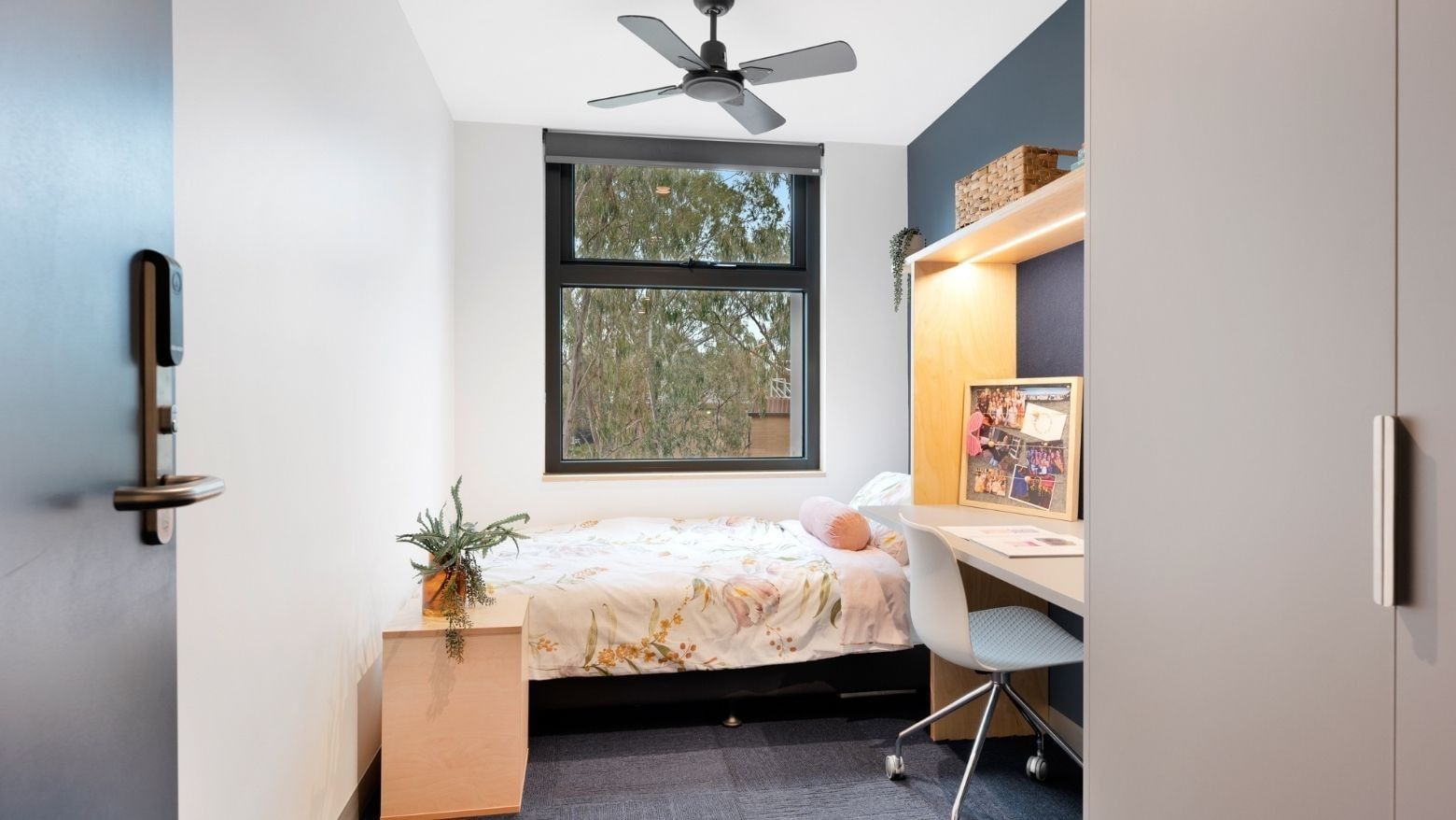 Compact student apartment at La Trobe University with bed, desk, and window.