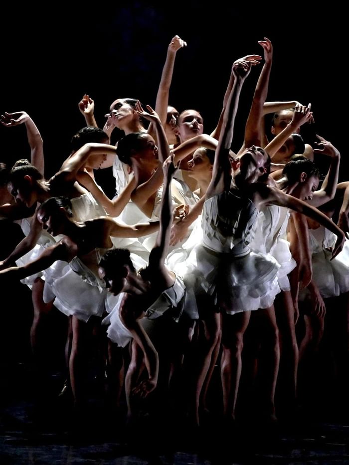 Swan Lake