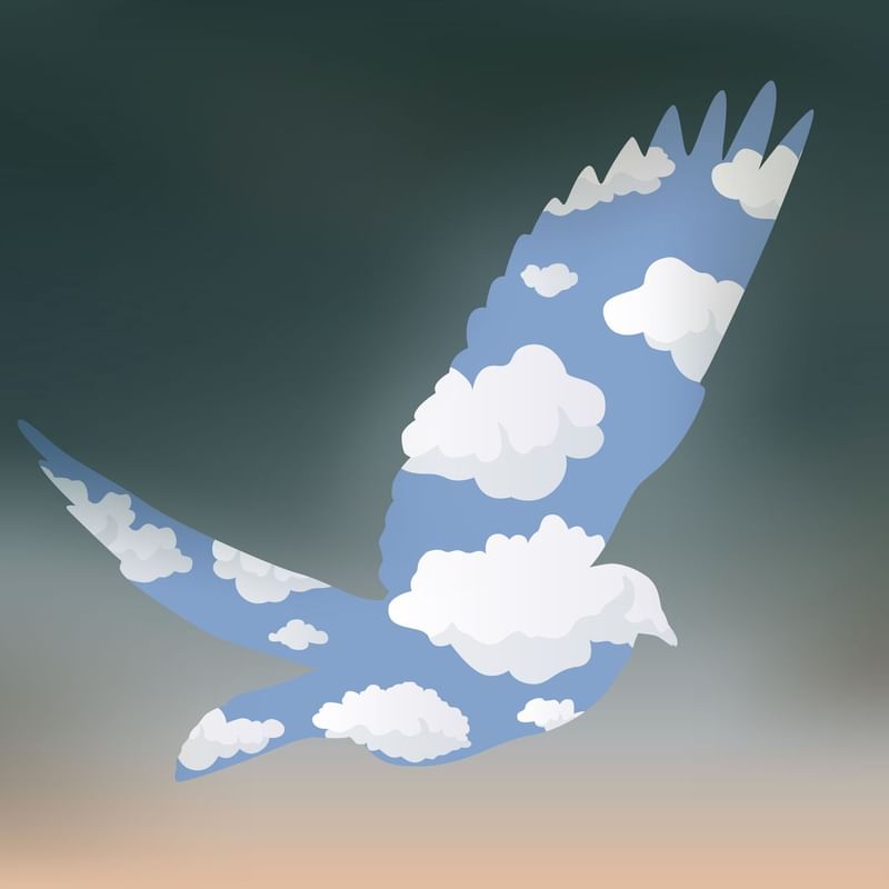 Illustration of a birds featuring Magritte Magic at Warwick Brussels