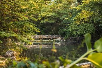 Ancient-style stone bridge by a reflective pond under a dense canopy of green trees near Hotel Chan-kah Resort Village