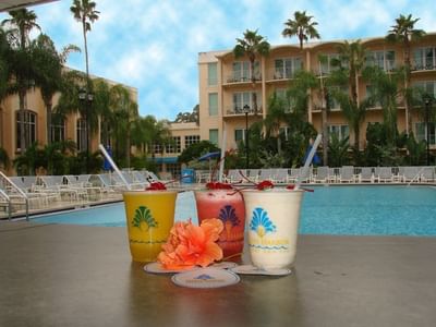 Cocktails in pool area at Safety Harbor & Resort