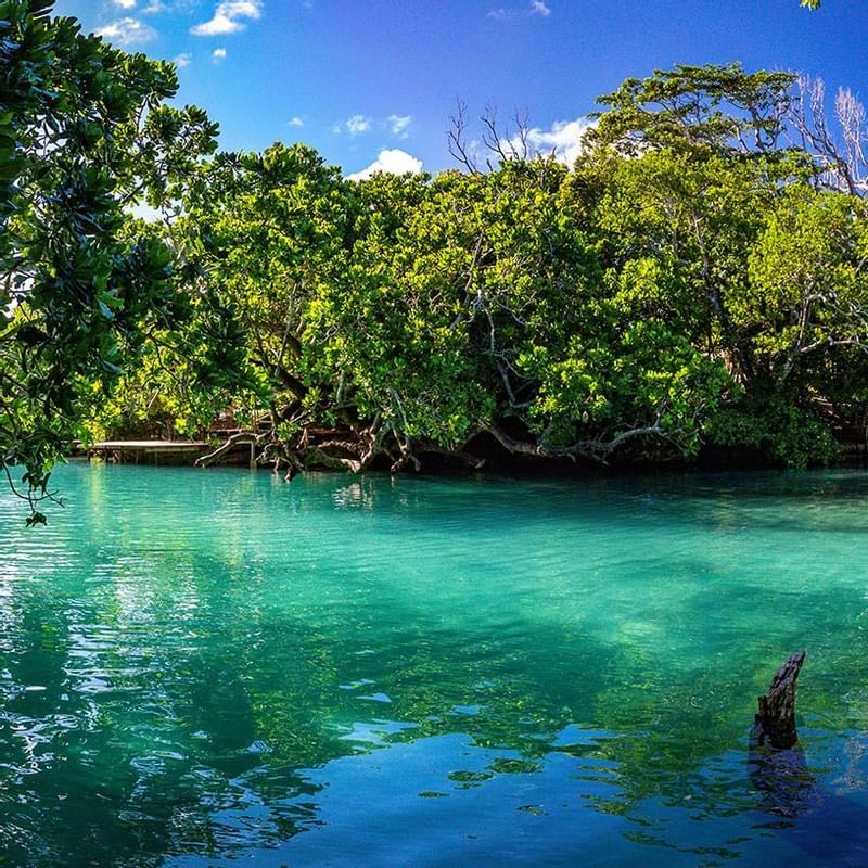 Lake of Blue Lagoon near the Warwick Le Lagon 

