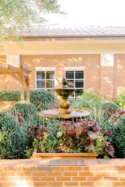 fountain in the garden