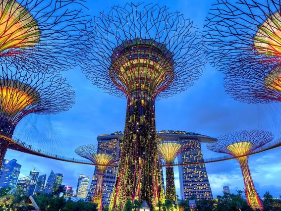 Low angle view of Marina Bay Sands Gardens near Park Hotel Group