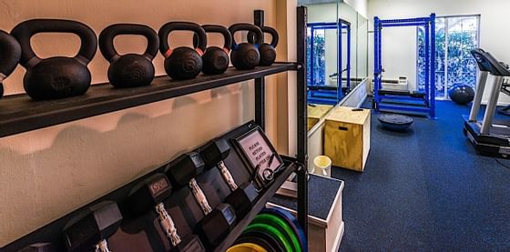 Weights on a rack in the Gym at Trianon Bonita Bay